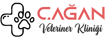 Çağan Veteriner Kliniği
